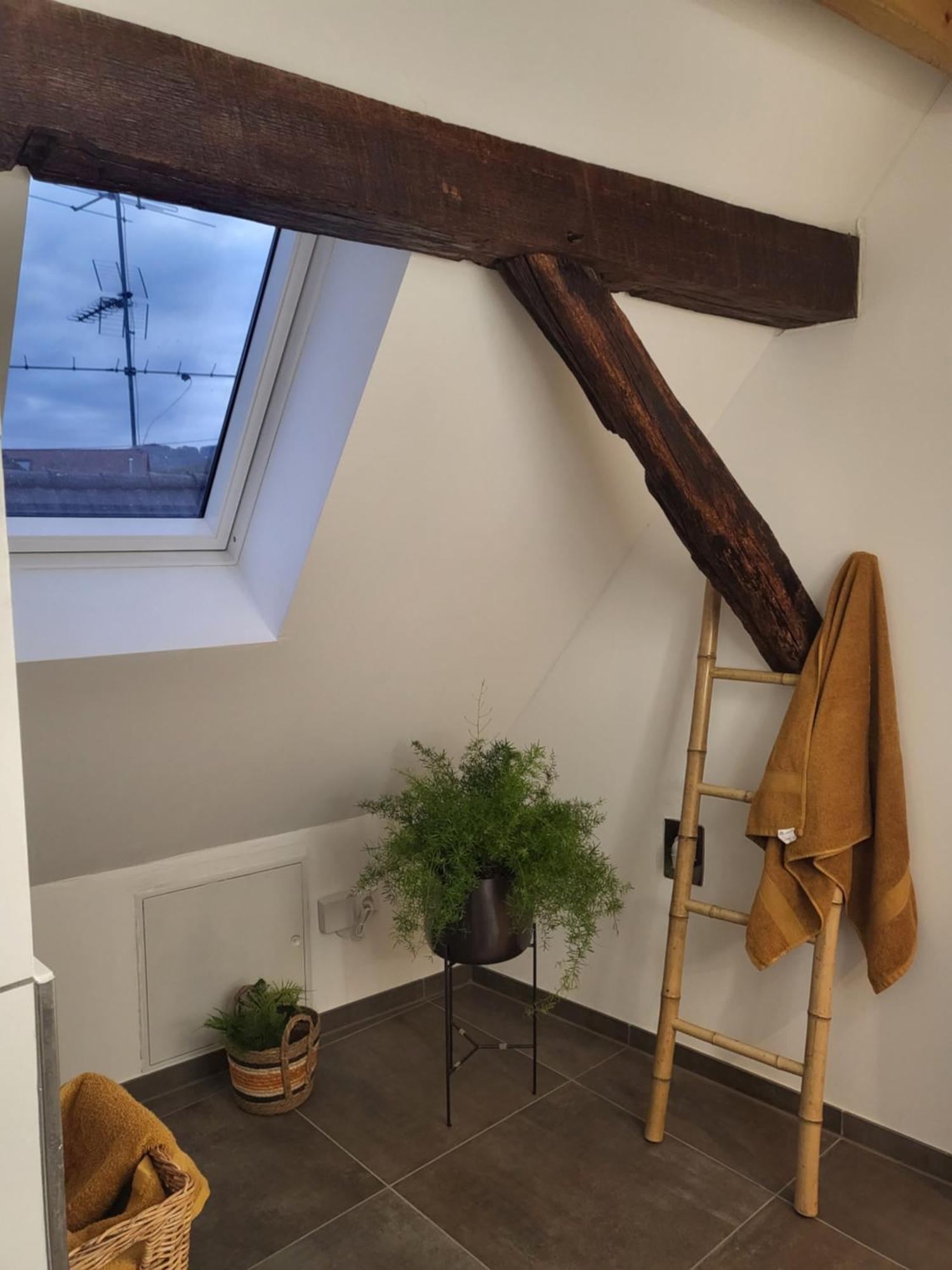 Ferienwohnung Im Rebstock Nr.1 Bahlingen  Ngoại thất bức ảnh